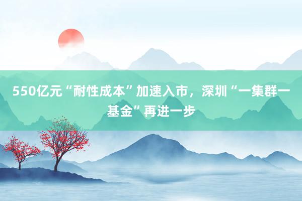 550亿元“耐性成本”加速入市，深圳“一集群一基金”再进一步