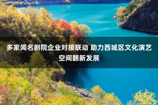 多家闻名剧院企业对接联动 助力西城区文化演艺空间翻新发展