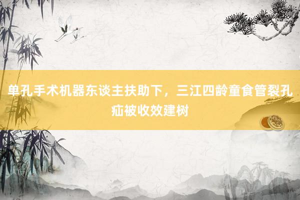 单孔手术机器东谈主扶助下，三江四龄童食管裂孔疝被收效建树