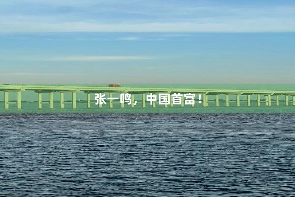 张一鸣，中国首富！