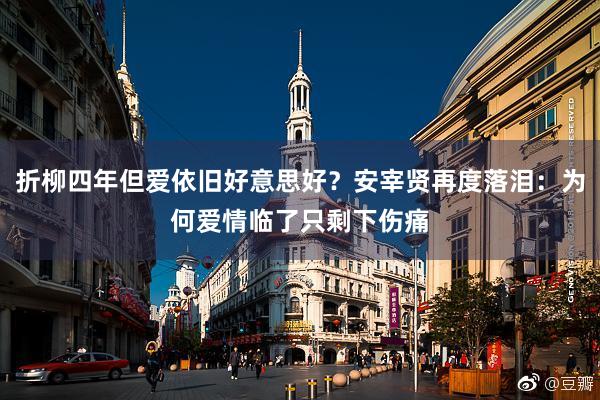 折柳四年但爱依旧好意思好？安宰贤再度落泪：为何爱情临了只剩下伤痛