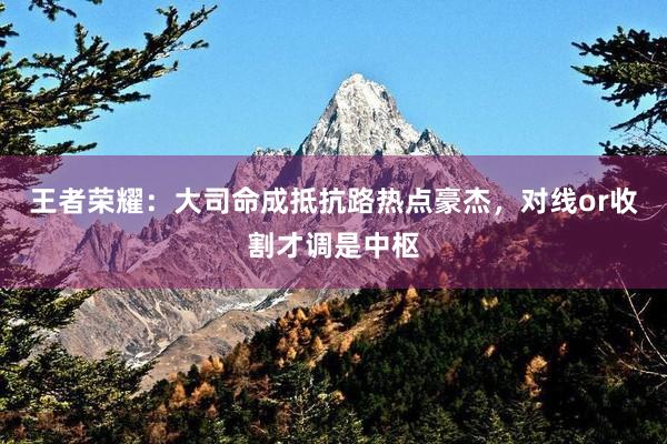 王者荣耀：大司命成抵抗路热点豪杰，对线or收割才调是中枢