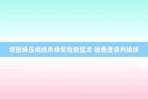 塔图姆压哨绝杀绿军险胜猛龙 雄鹿遭误判输球