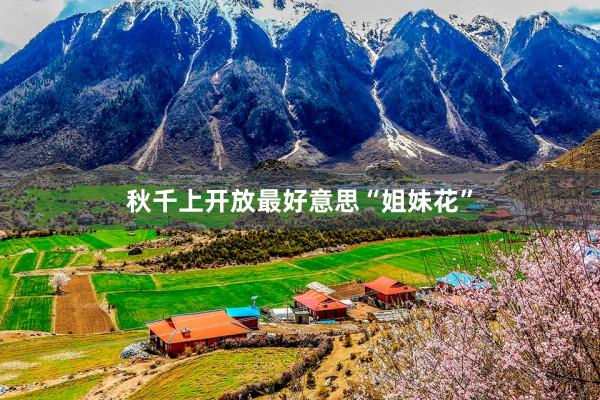 秋千上开放最好意思“姐妹花”