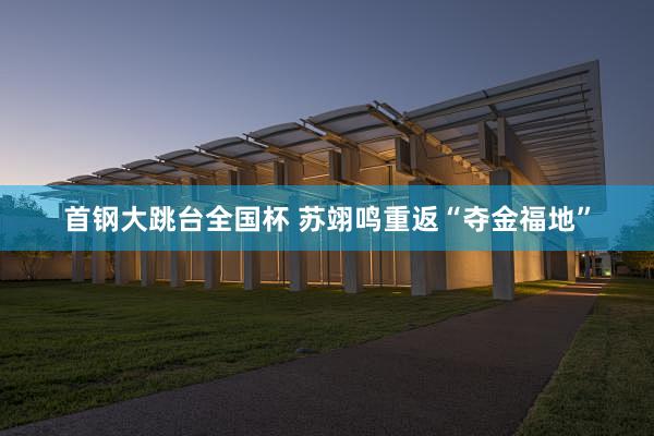 首钢大跳台全国杯 苏翊鸣重返“夺金福地”