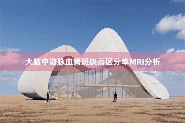 大脑中动脉血管斑块高区分率MRI分析