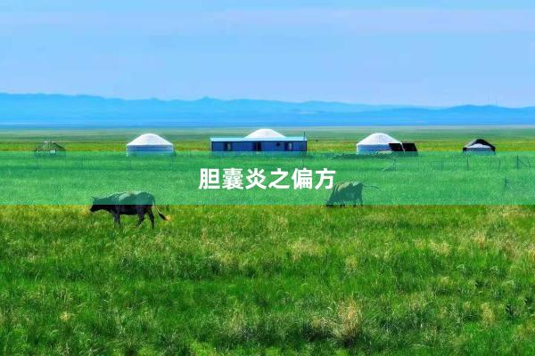 胆囊炎之偏方