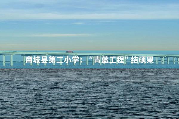 商城县第二小学：“青蓝工程”结硕果