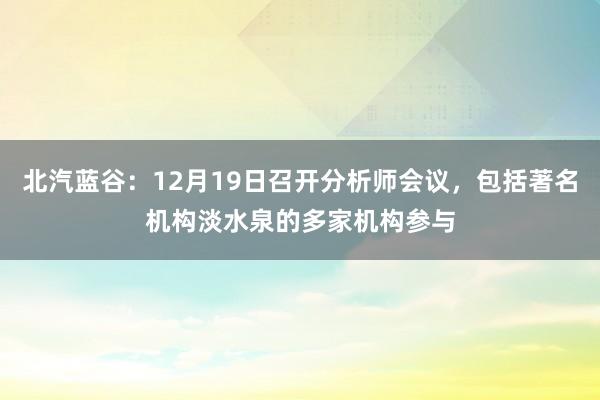 北汽蓝谷：12月19日召开分析师会议，包括著名机构淡水泉的多家机构参与